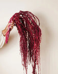Amaranthus | Preserved Florals
