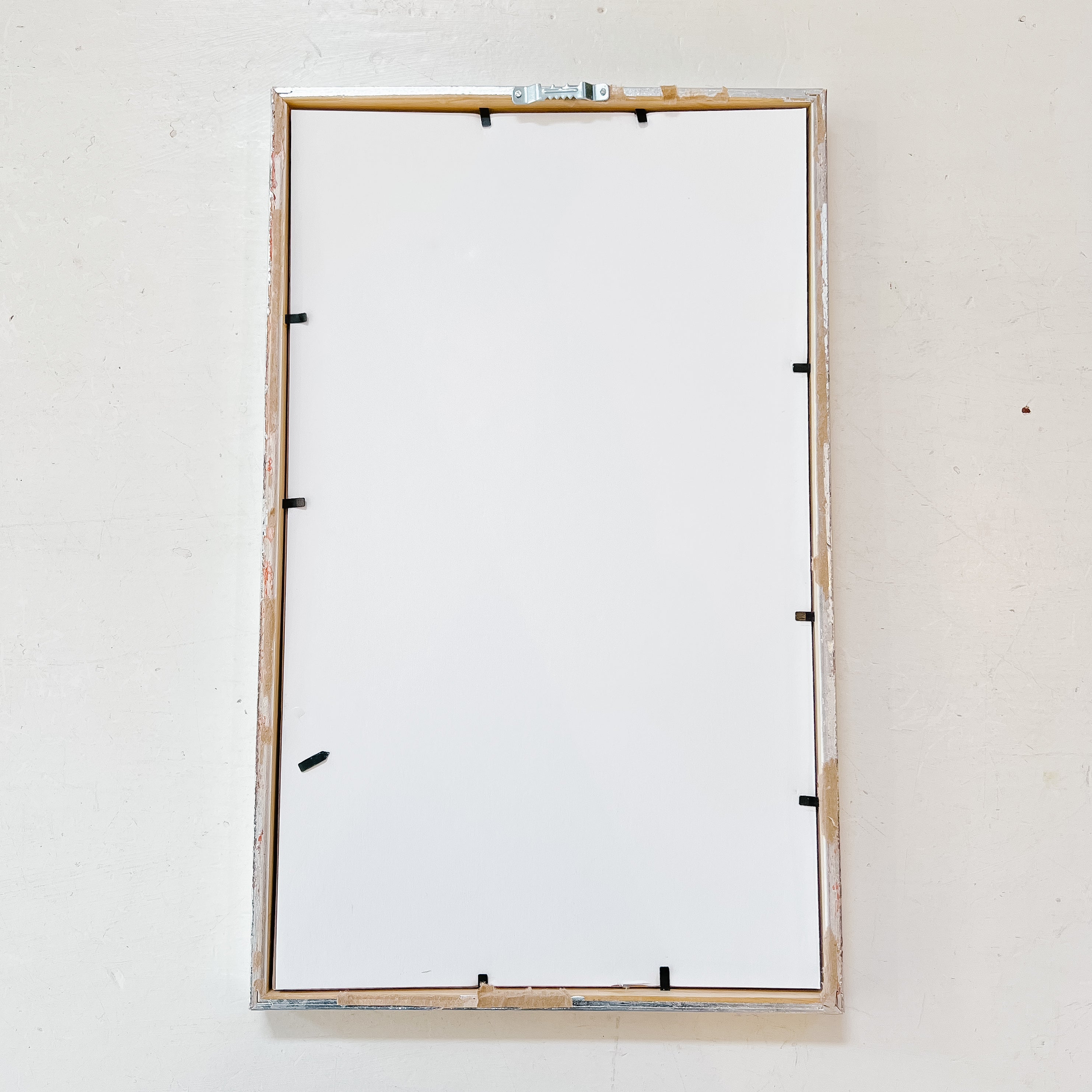 Pressed Flower Botanical Framed Art | C1940s from France