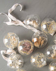 Preserved Botanical Christmas Ornament
