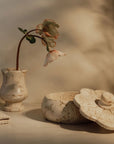 Ruffled Travertine Lidded Trinket Dish | Bone