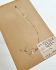Pressed Flower Herbier Papiers | No.7 circa 1926