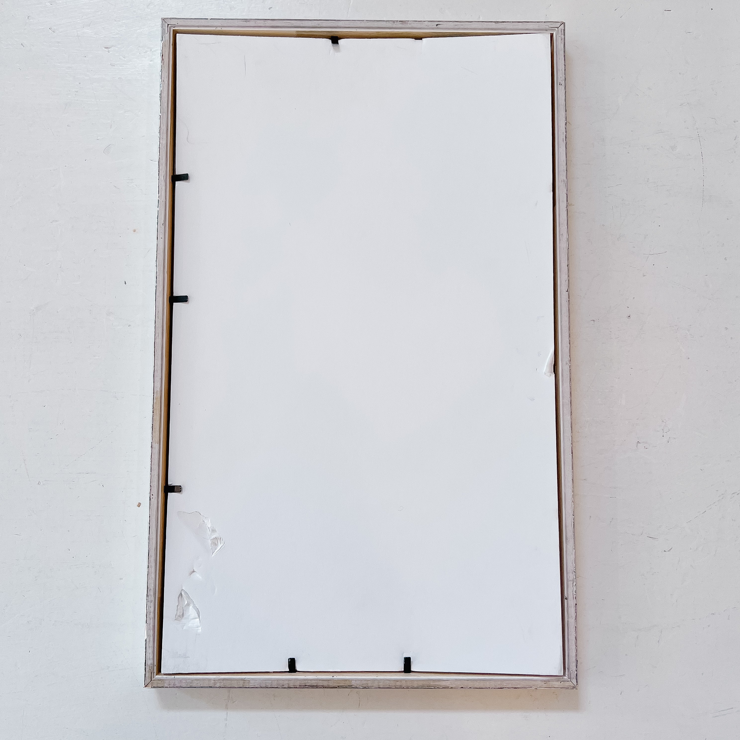 Pressed Flower Botanical Framed Art | C1940s from France