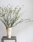 Sea Oats | Preserved Florals