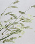 Sea Oats | Preserved Florals