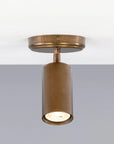 Ewan Directional Brass Flush Mount