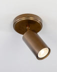 Ewan Directional Brass Flush Mount