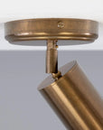 Ewan Directional Brass Flush Mount