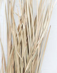 Flax Grass