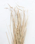 Flax Grass
